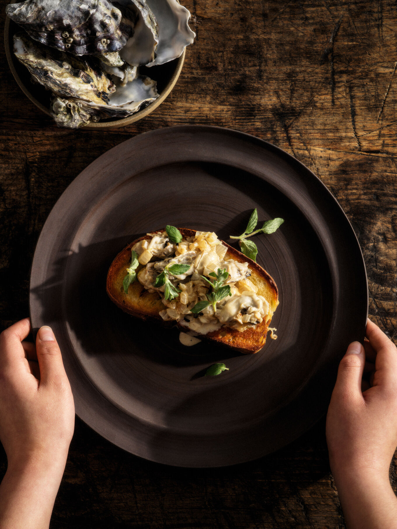 Creamed oysters on toast